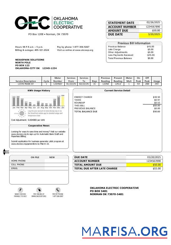 Downloadable USA OEC electricity business utility bill template in Word and PDF formats